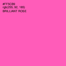 #FF5CB9 - Brilliant Rose Color Image